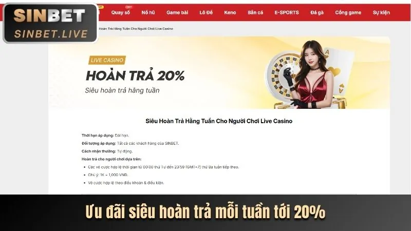 Hoàn trả casino tbbb